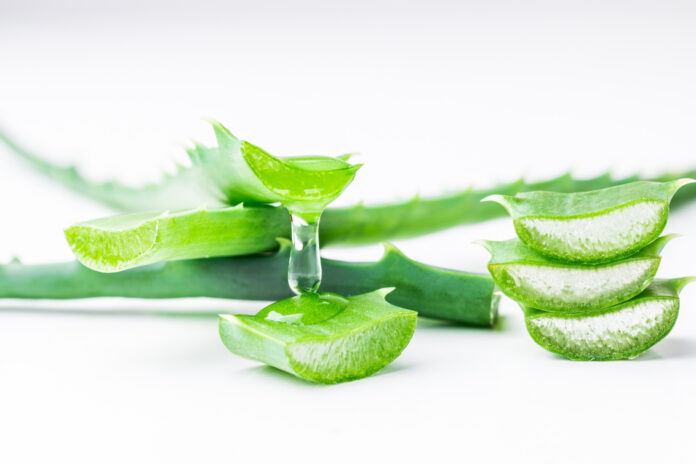 lov for cosmetics aloe vera Sérum Lov'Aloe main image 0