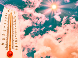 Hogyan érinti a kánikula a szívet, a szívbetegeket?