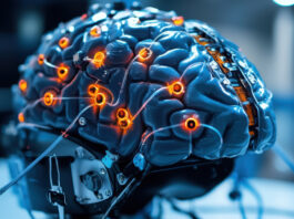 Mitől lesz aktív vagy csendes egy agysejt a térbeli tájékozódás közben?