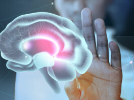 Hajléktalanoknál is kimutatták az eddig főként élsportból ismert agyi betegséget