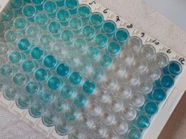 Komoly betegségek diagnosztizálásához és terápiájához járultak hozzá magyar kutatók