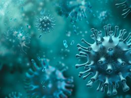 Nyakunkon a légúti megbetegedések szezonja – a védelem kulcsa a megelőzés