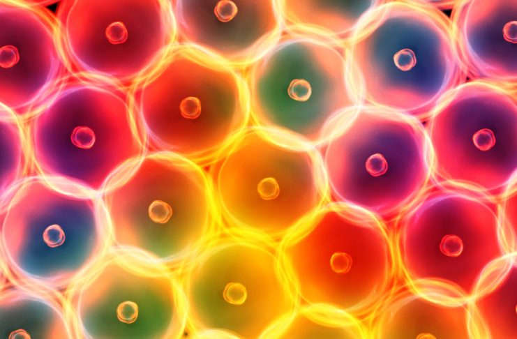 Emlékező sejtek? Sejtszinten is tárolhatók a traumák egyes kutatások szerint