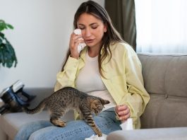 Mit tehetünk a kisállat allergia tüneteinek csökkentéséért?